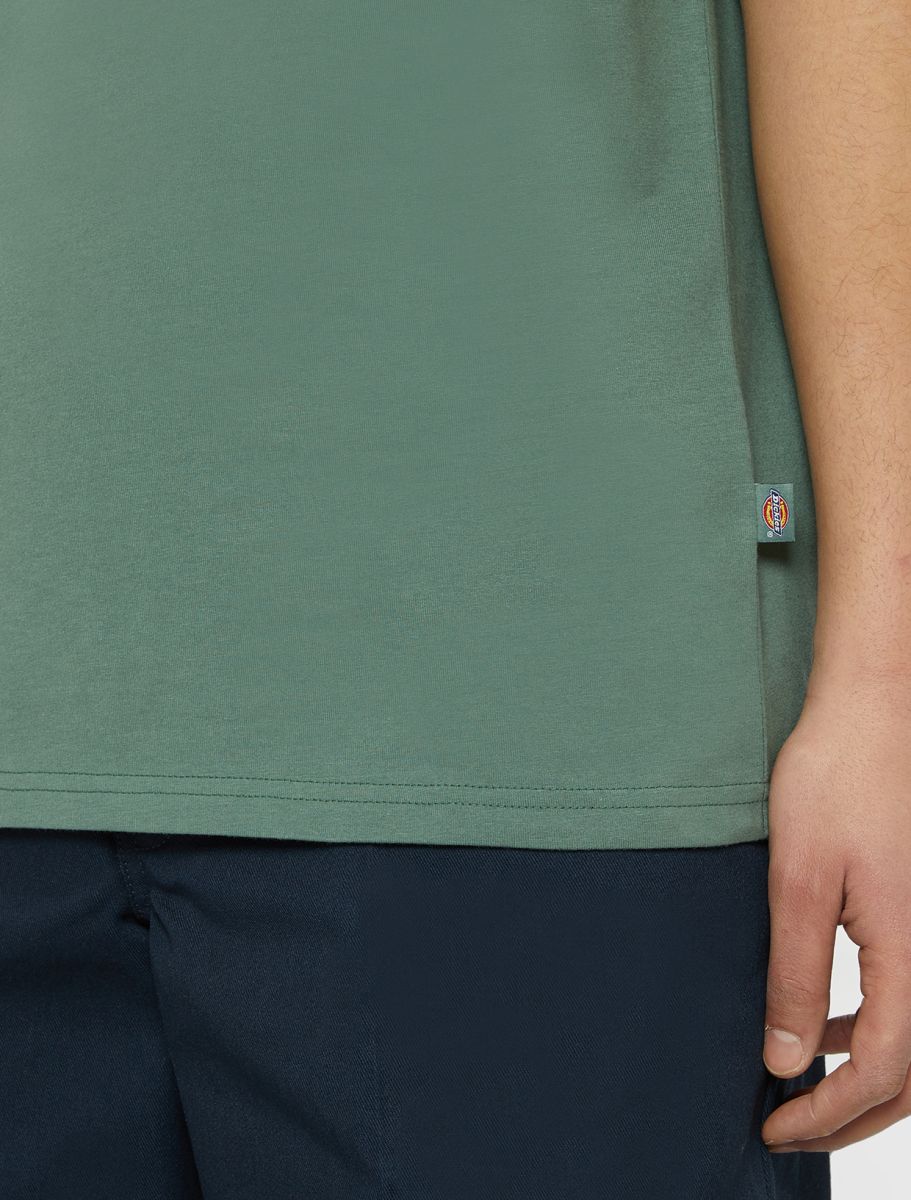 Dickies Icon  t-shirt seafoam - 6