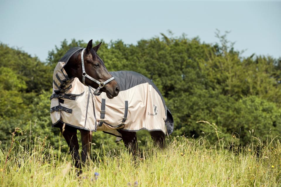 HorseGuard Honour Combo Rain and Fly Sheet - Bamboo - 2
