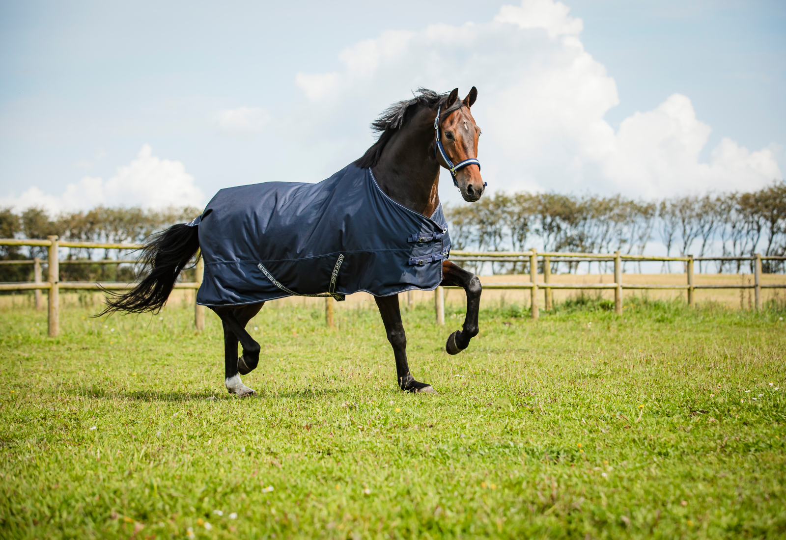 HorseGuard Landon Utetäcke, 1200D 0g - Navy - 4