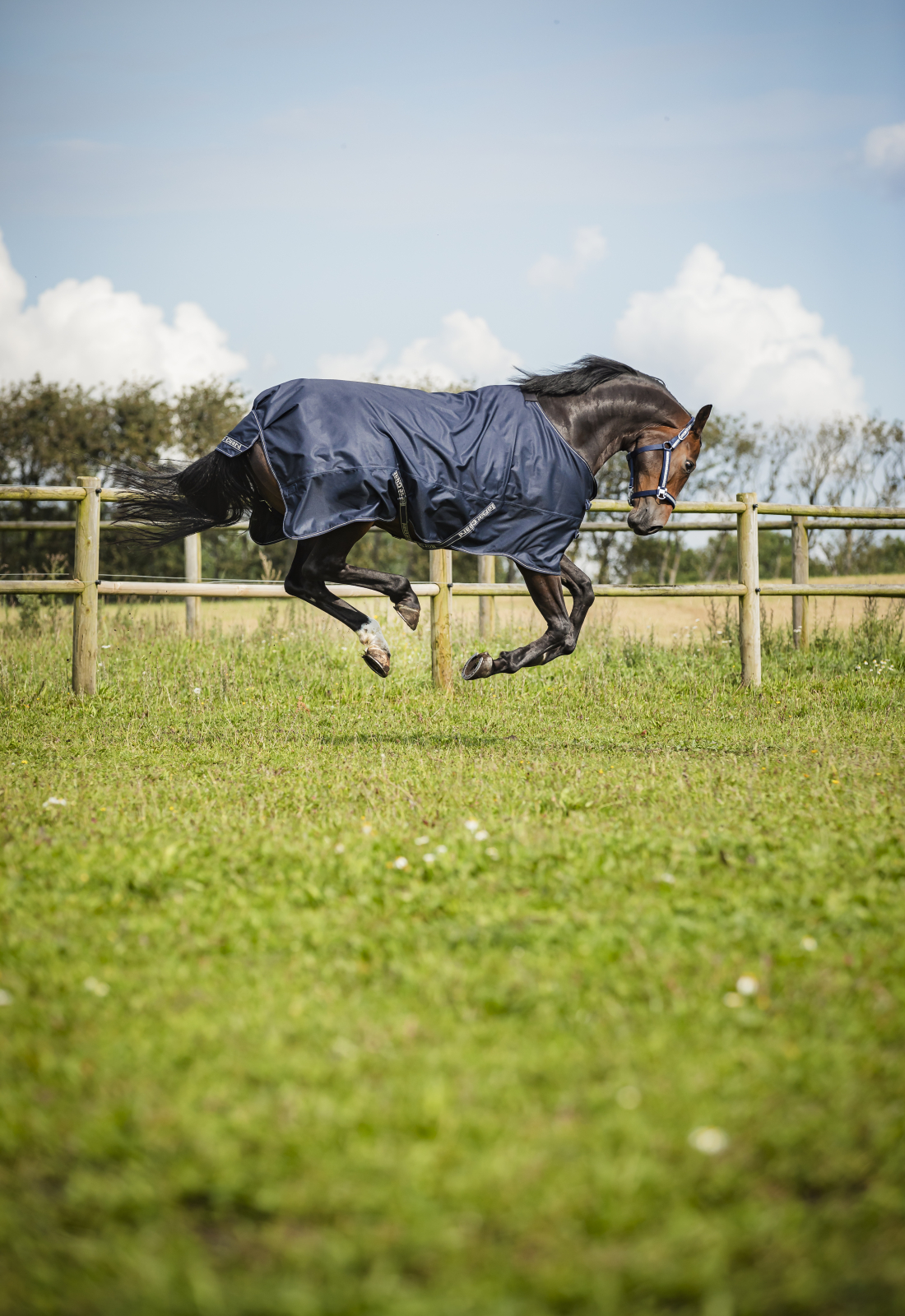 HorseGuard Landon Utetäcke, 1200D 0g - Navy - 3