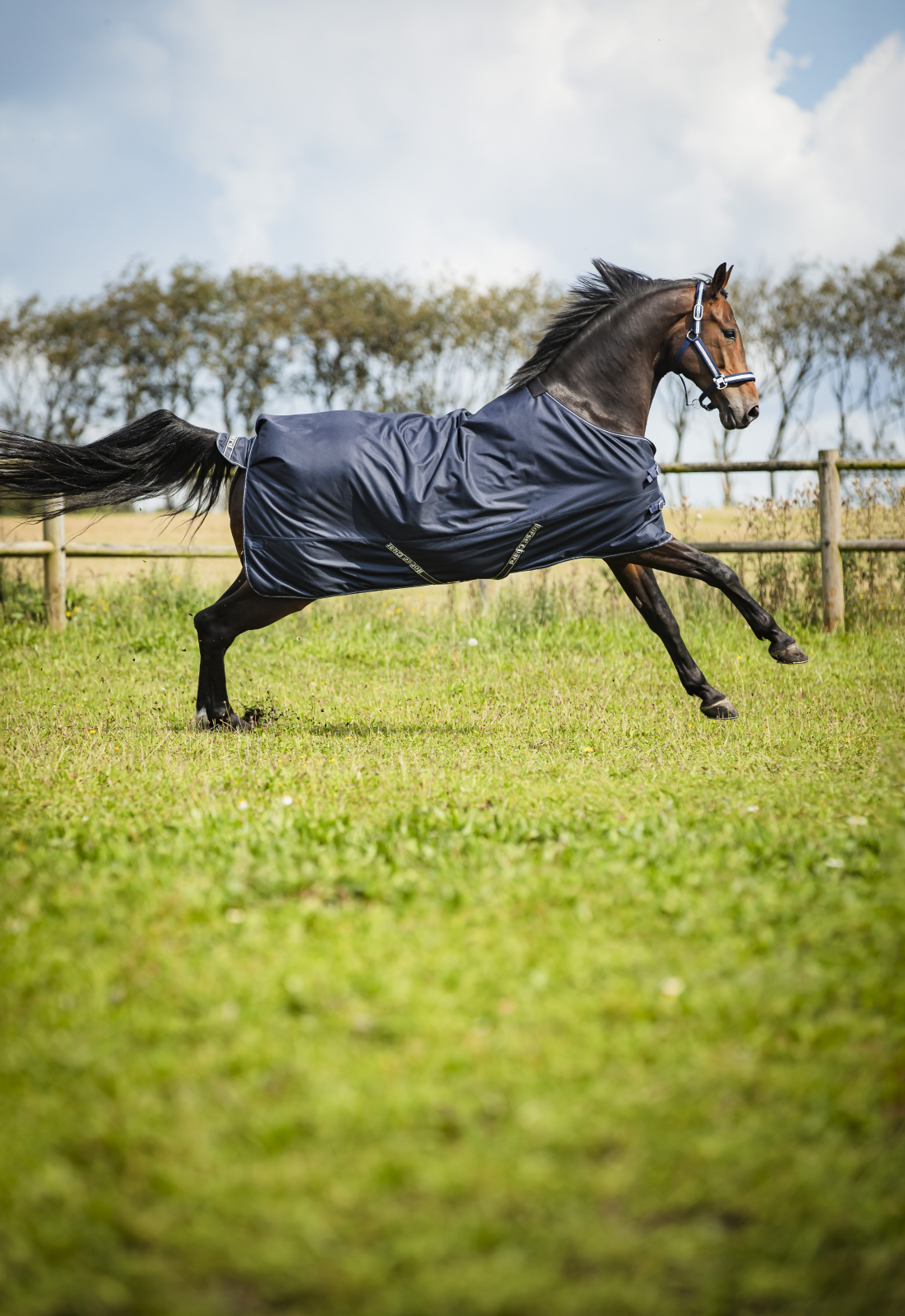 HorseGuard Landon Utetäcke, 1200D 0g - Navy - 5
