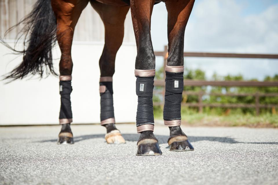 HorseGuard Marissa Bandage Pads - Falcon - 2