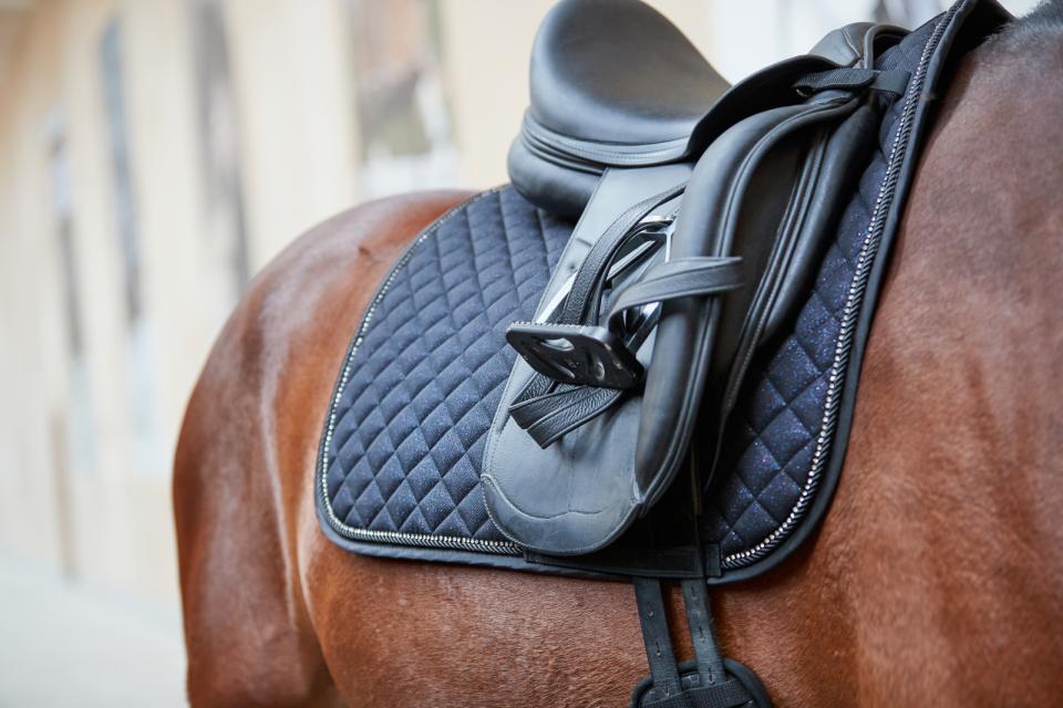 HorseGuard Milva Saddle Pad Black - 2