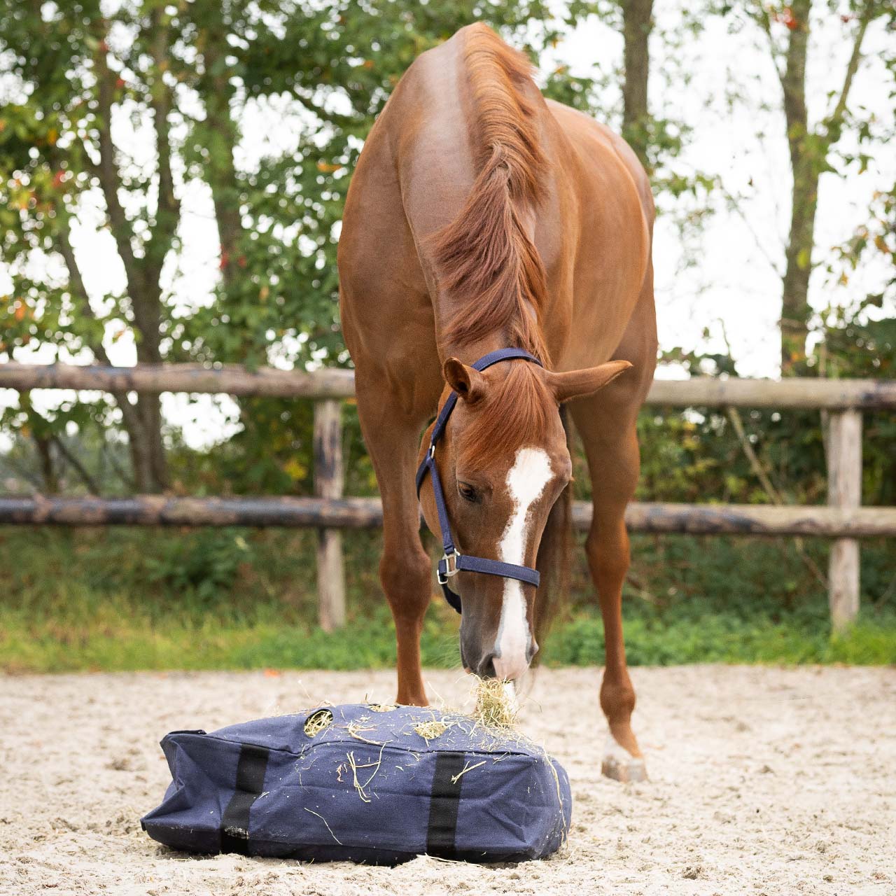 QHP Hay Cushion - Navy 