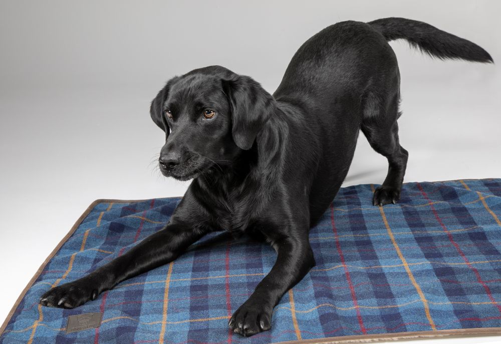 Digby & Fox Tweed Dog Blanket 60x80 cm - Navy 