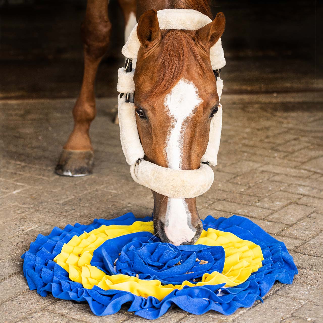 QHP Snuffle Mat Aktiveringsmatte For Hest - Blå/Gul - 2