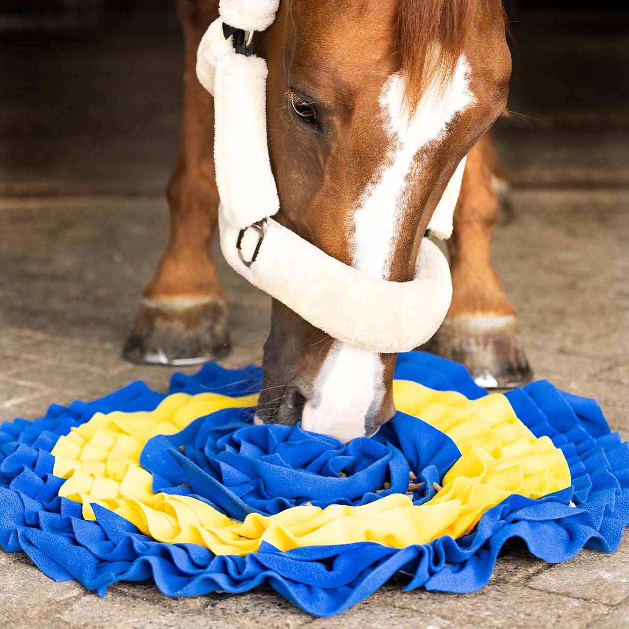 QHP Snuffle Mat For Horse - Blue/Yellow
