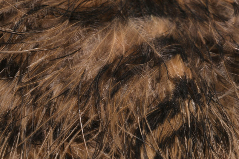 Jailhouse Marabou - 7
