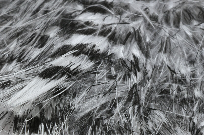 Jailhouse Marabou - 8