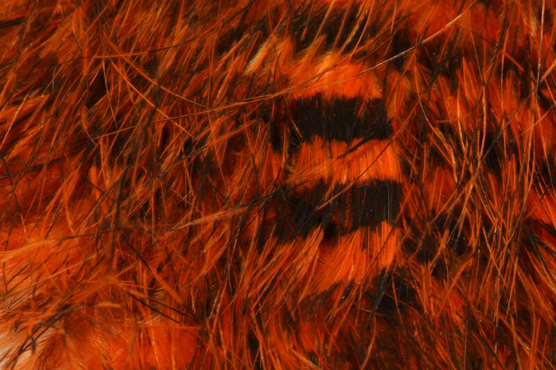Jailhouse Marabou - 4