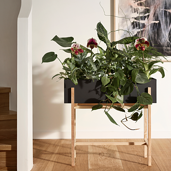 Botanic Stand 
