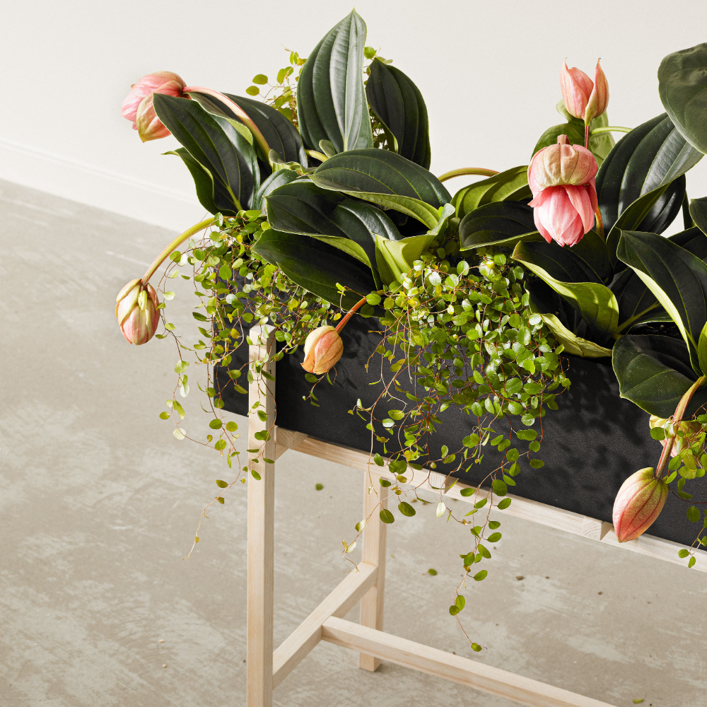 Botanic Blomstativ - 3