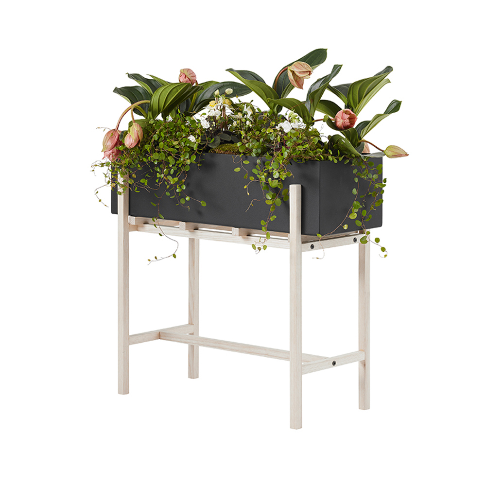 Botanic Blomstativ