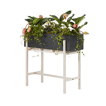 Botanic Stand 
