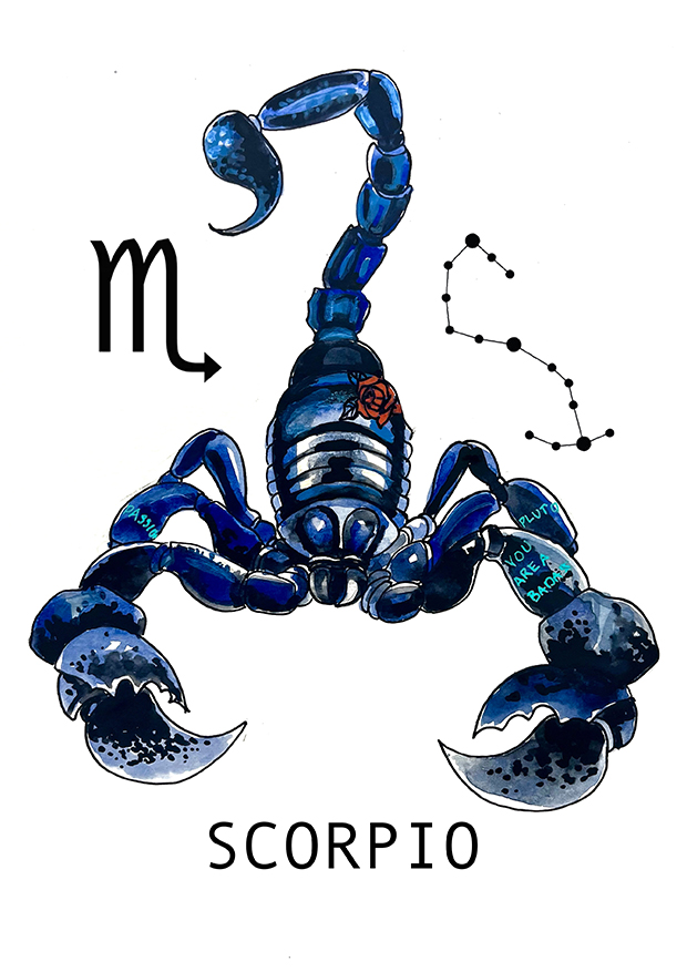 Skorpionen