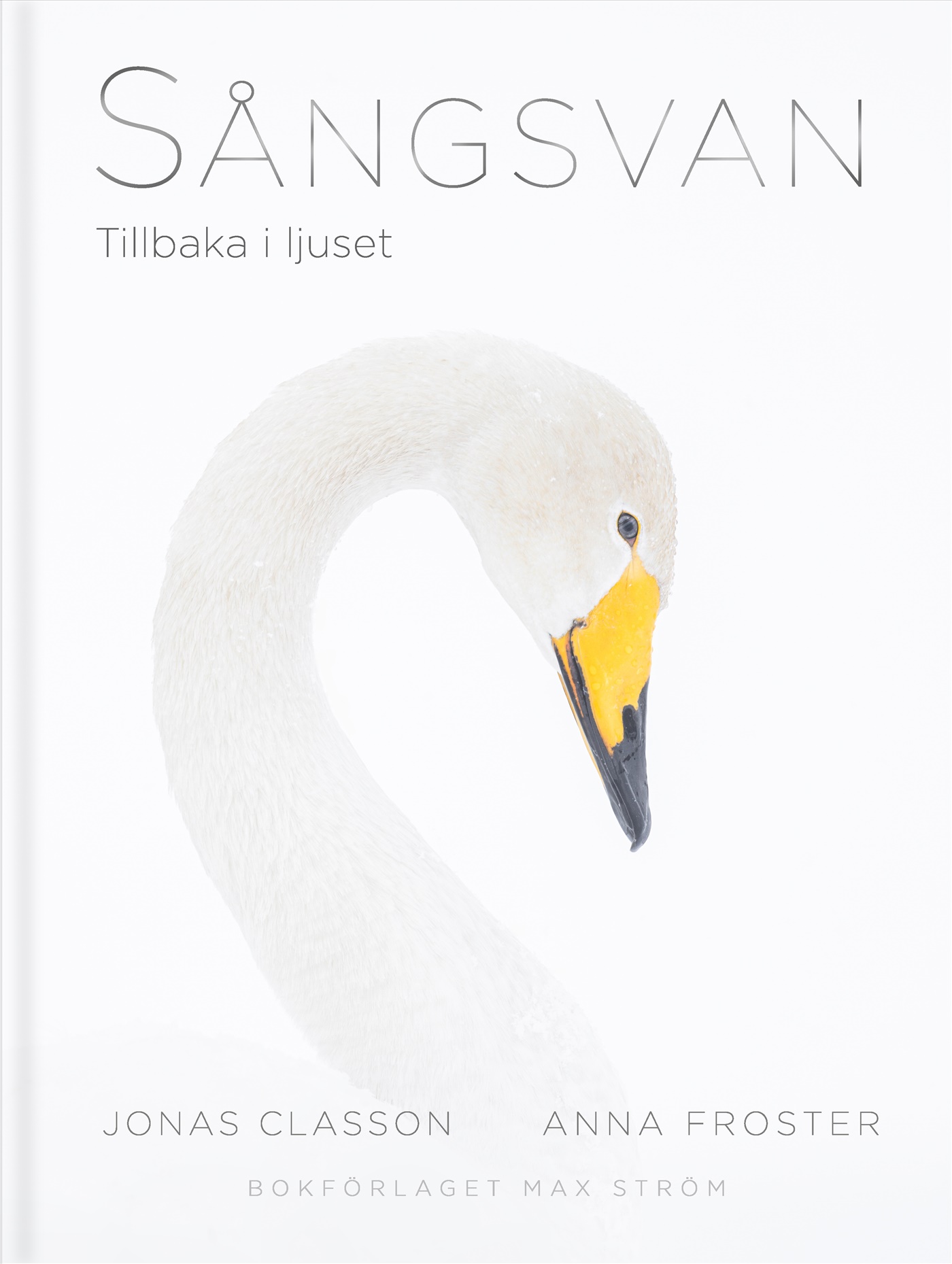Jonas Classon - Sångsvan