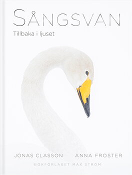 Jonas Classon - Sångsvan