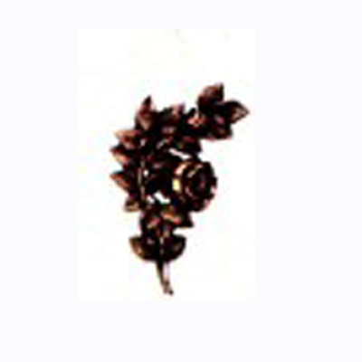 Rose 1