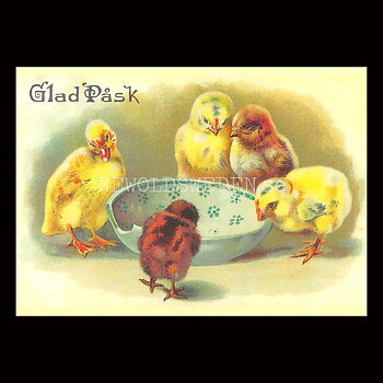 Glad Påsk - Påskkort - Vykort - 525