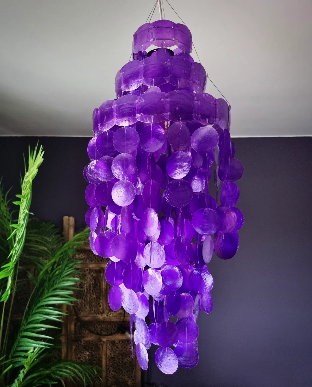 Snäckskalsskärm - Snäckskalslampa - Purple