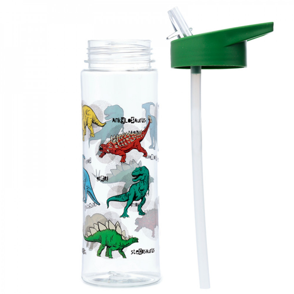 Vattenflaska dinosaurier 550ml - 2
