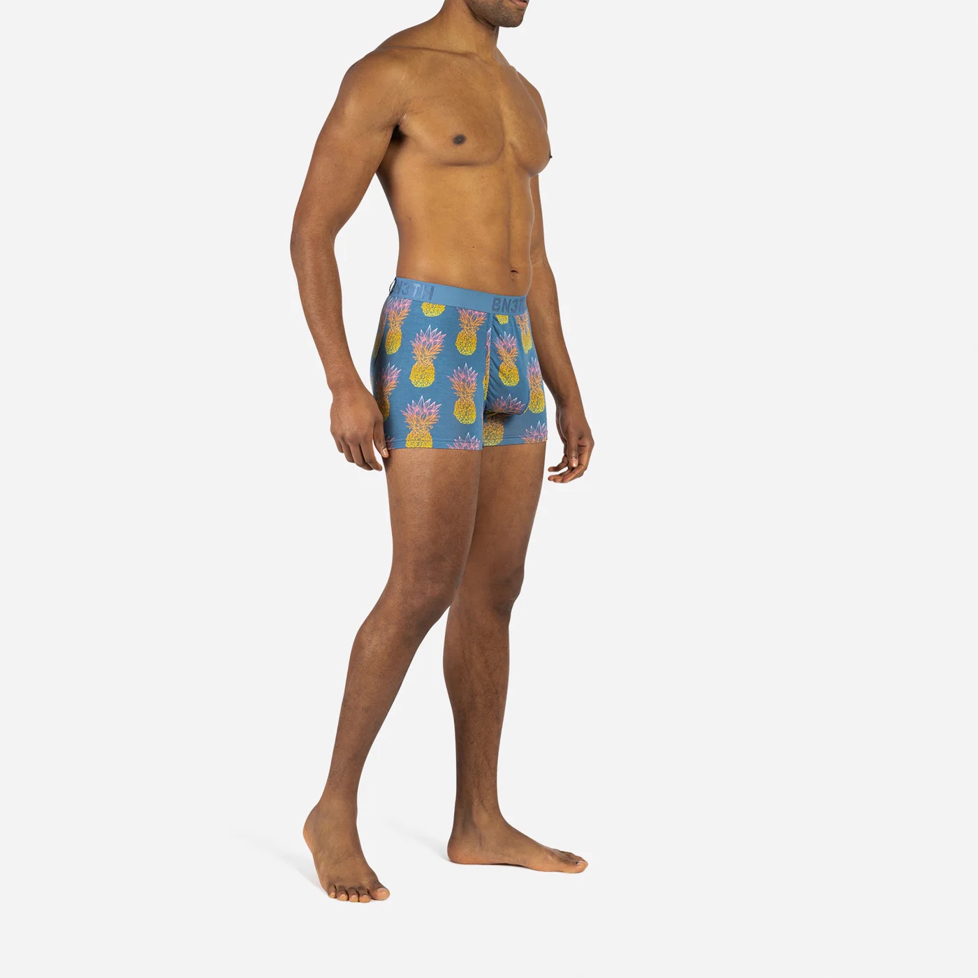 CLASSIC TRUNK PRINT - PINEAPPLE FADE-FOG - 5