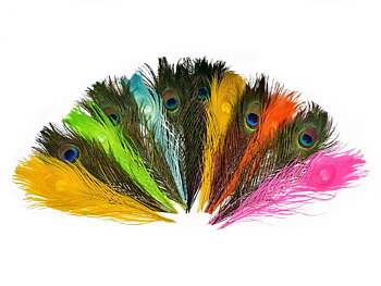 Mikael Frödin Peacock Eye Feathers