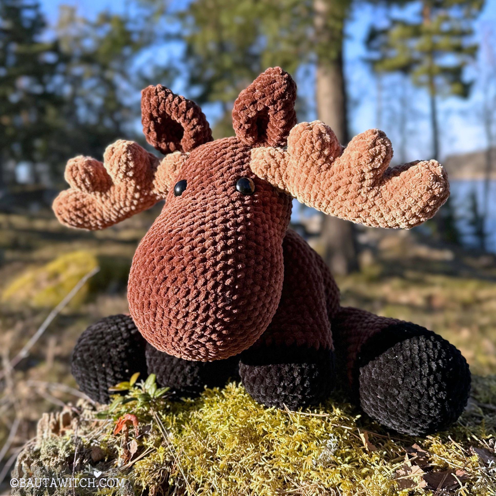 Älgen Hälge - 5