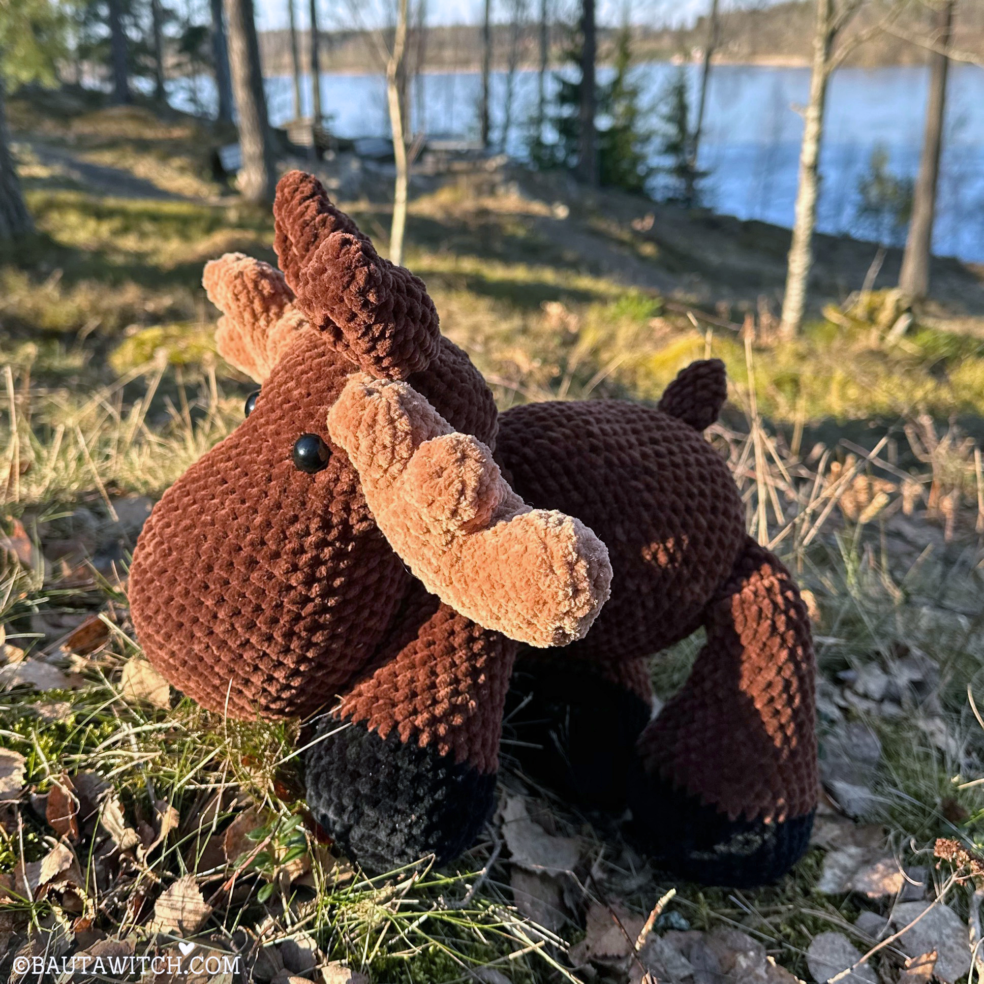 Älgen Hälge - 4