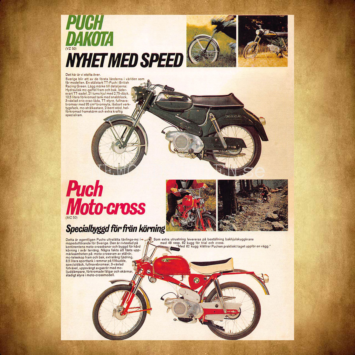 PUCH Dakota VZ 50 & PUCH Moto-Cross MC 50 - Vykort A5 - 2