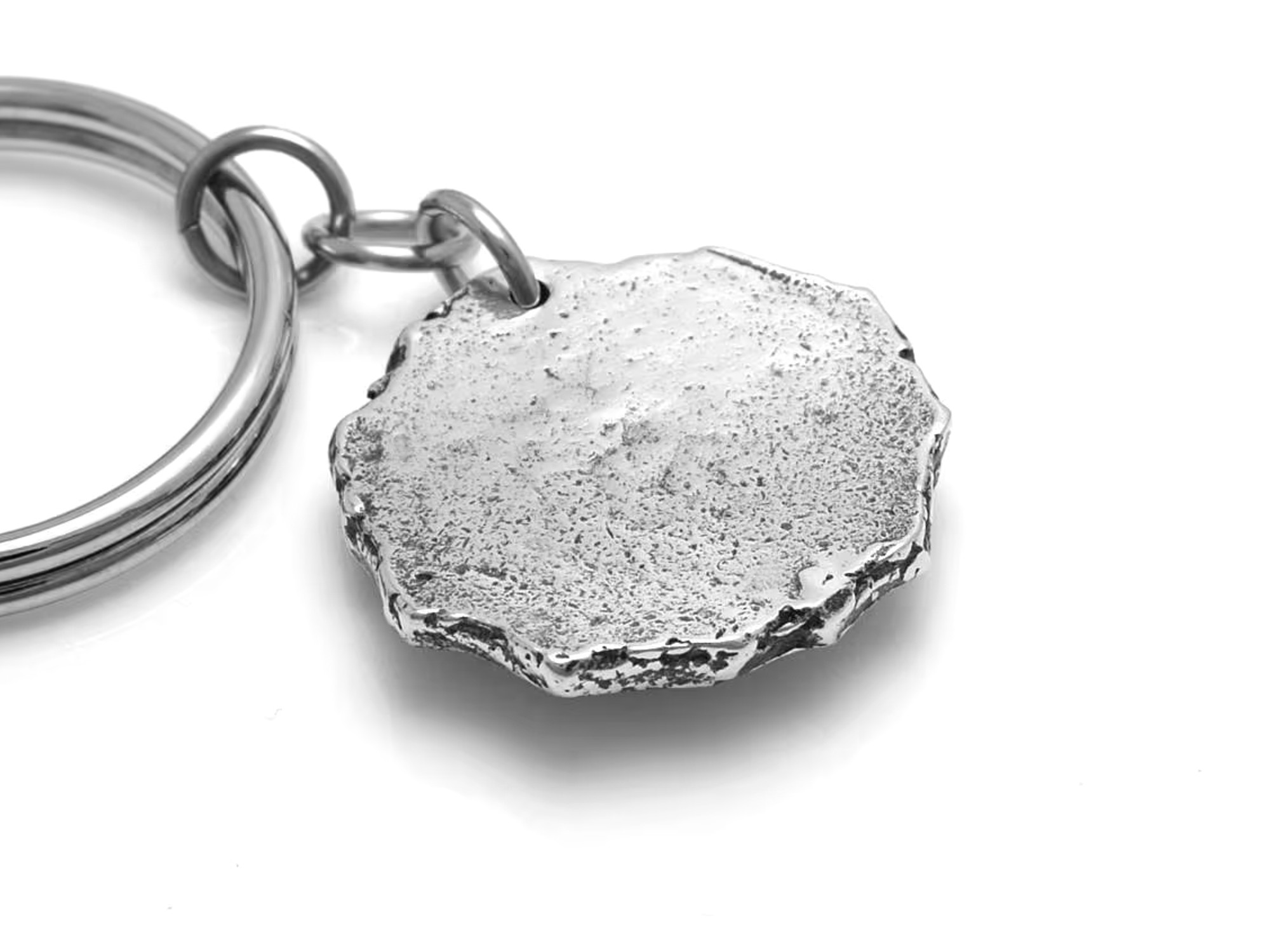 Ammonit Nyckelring, Fossil Accessoar, Djur Nyckelhållare i Tenn och Stål - 4