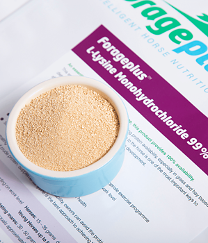 FORAGEPLUS L-LYSINE FOR HORSES 3KG