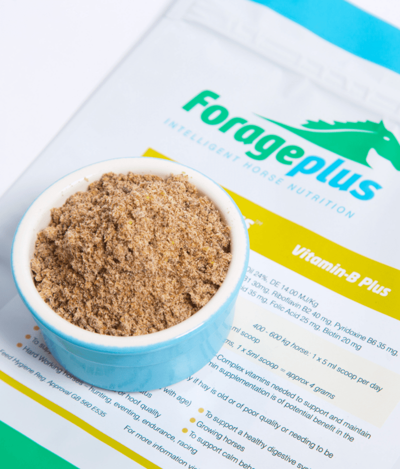 FORAGEPLUS VITAMIN B PLUS 1KG - 2