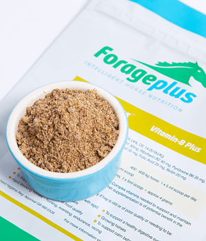 FORAGEPLUS VITAMIN B PLUS 1KG