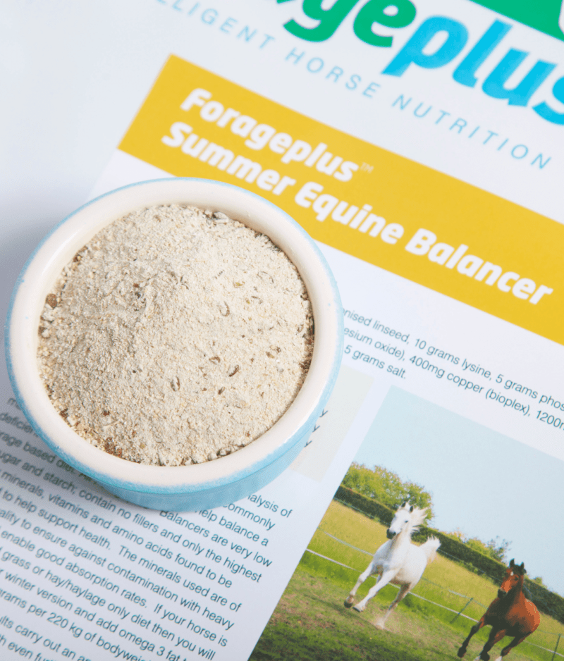 FORAGEPLUS EQUINE BALANCER SUMMER  5KG - 2