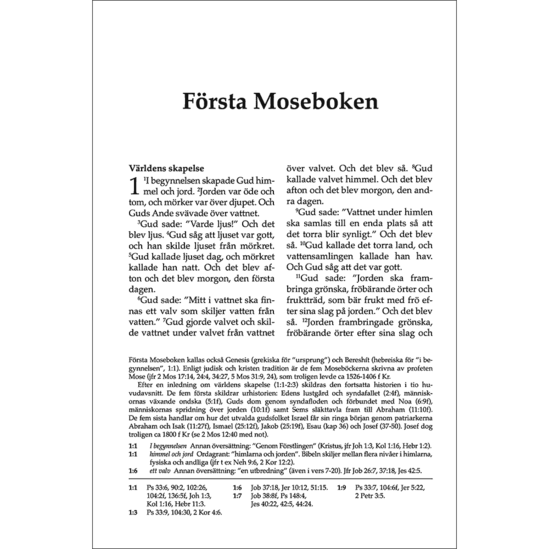 Folkbibeln 2015 - Mellanformat, Hårdpärm röd - 2