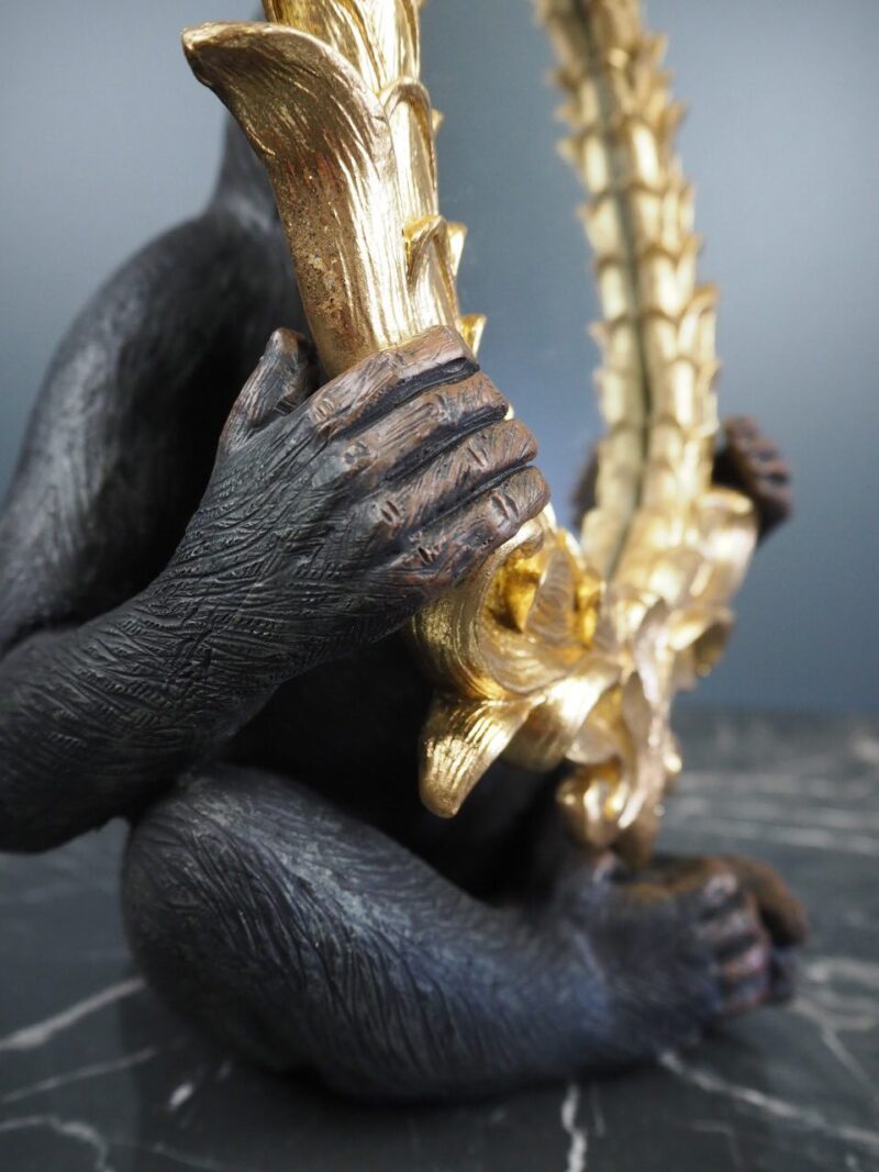 Monkey with mirror - 5