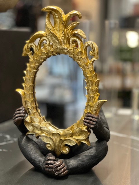 Monkey with mirror - 2