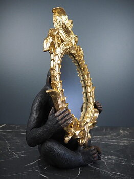 Monkey with mirror