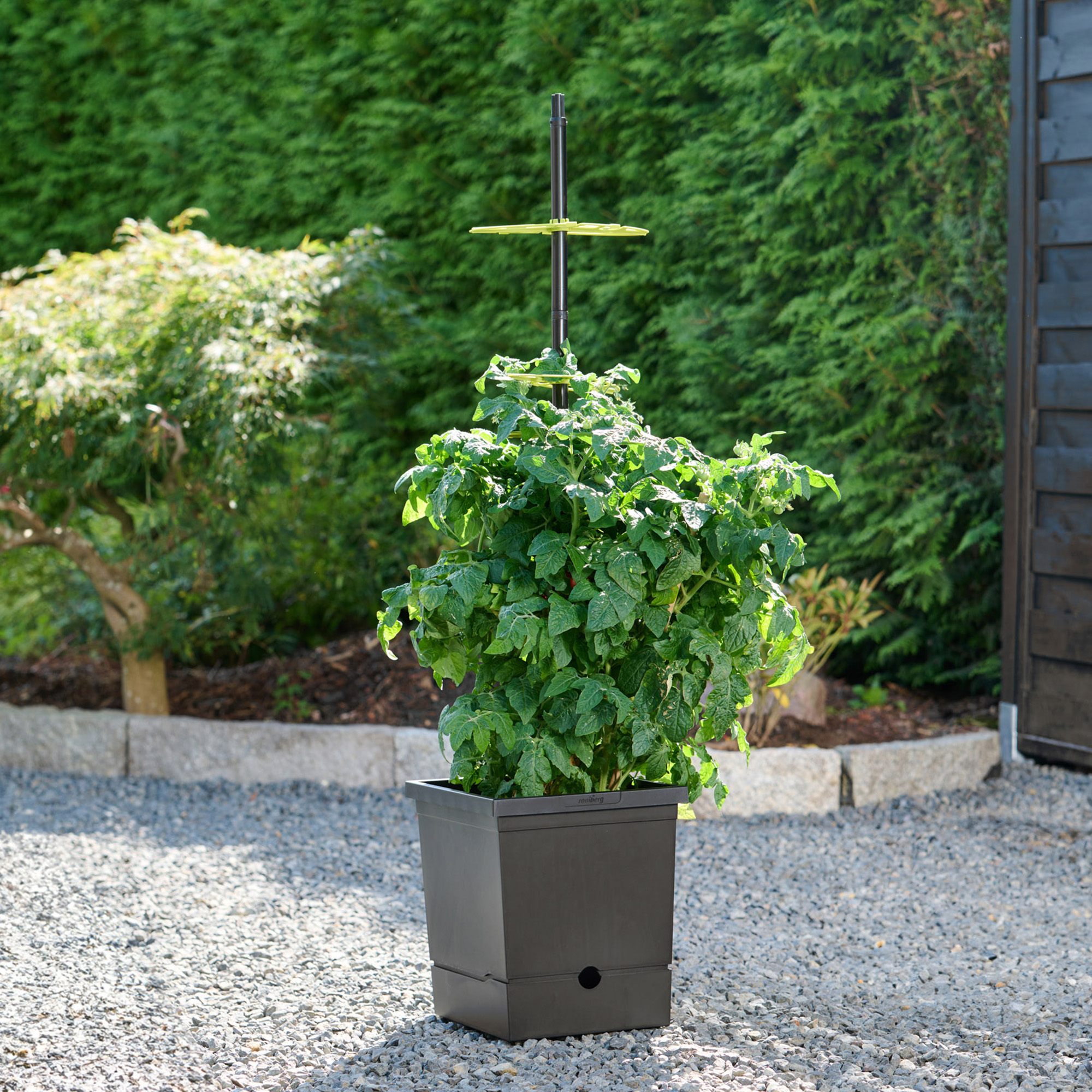 Romberg Tomatkruka 17L, självbevattnad - 3