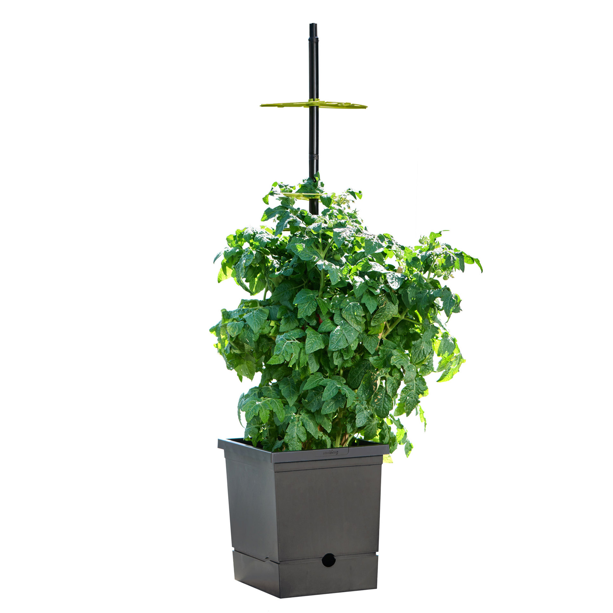 Romberg Tomatkruka 17L, självbevattnad - 2