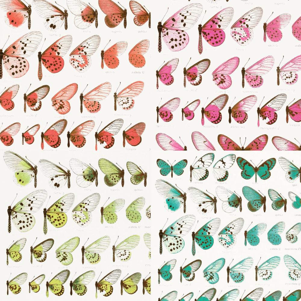 49 And Market - Collection Pack 12x12 - Kaleidoscope - 2