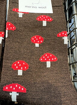 CAI - Sock Mushroom Brown