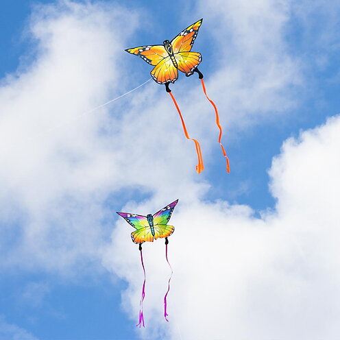 Butterfly Ecoline Rainbow