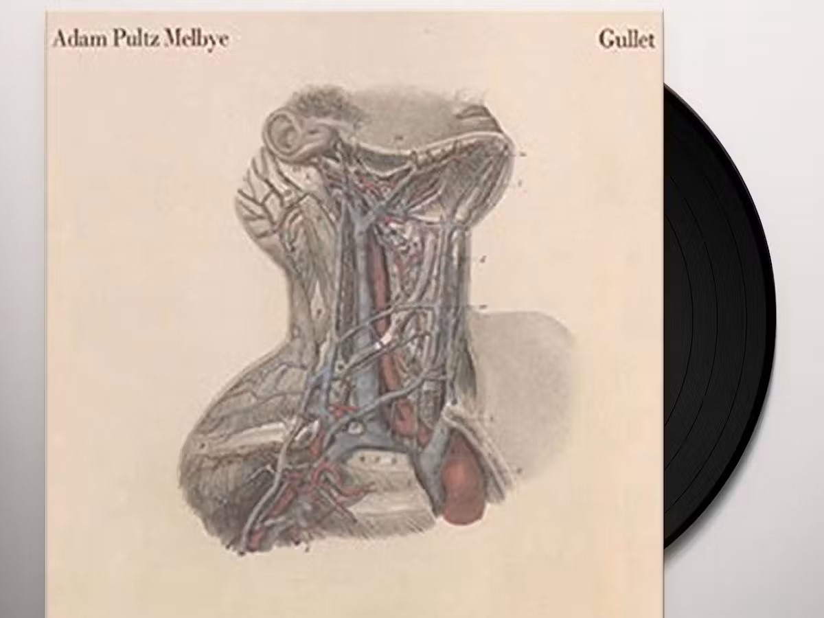 Adam Melbye: Gullet (Vinyl, LP)
