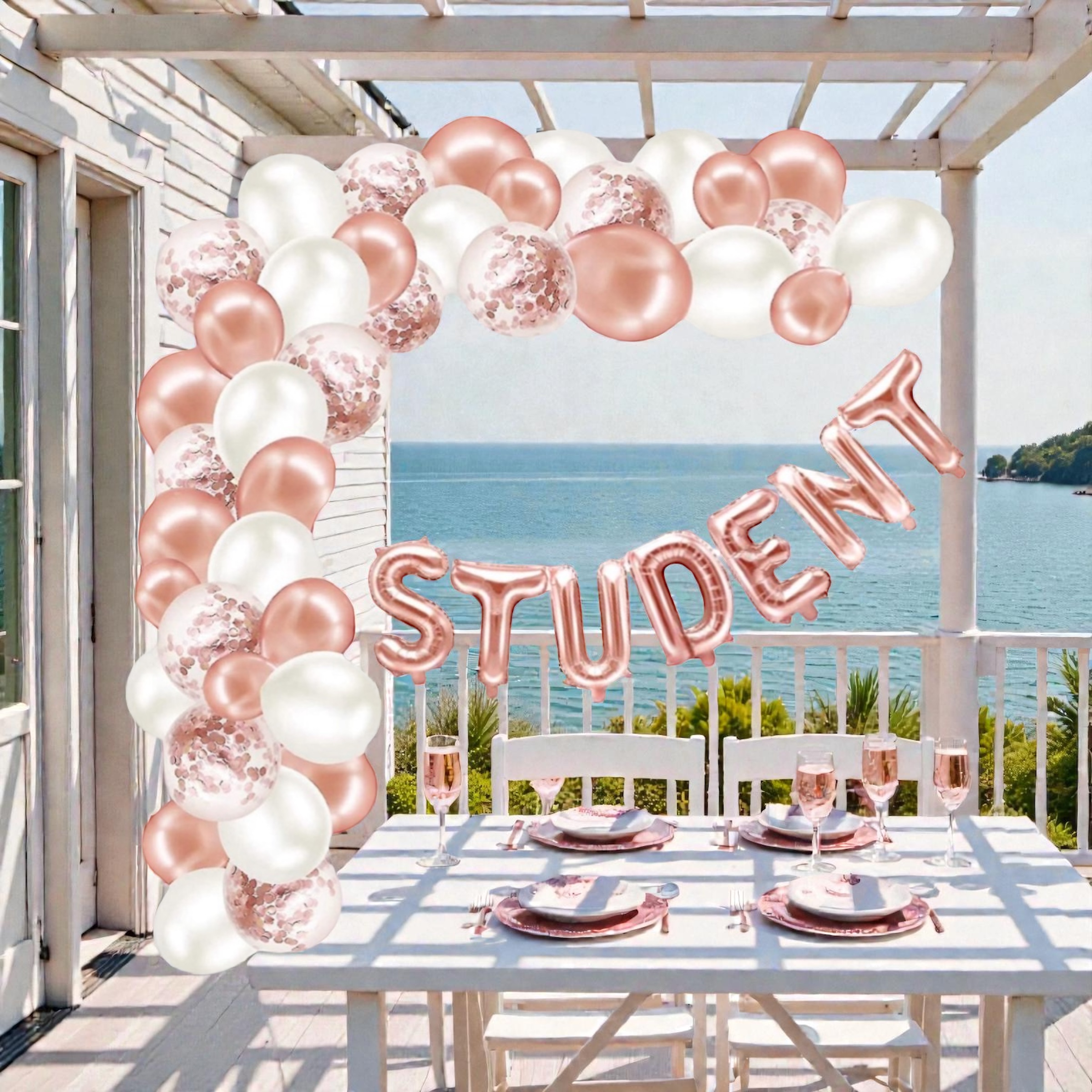 Ballongbåge & ballonggirlang "STUDENT" - Rosé - 5