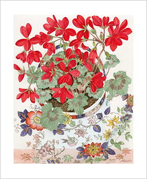 Angie Lewin : Pelargonium in a Floral Cup - Kort med kuvert