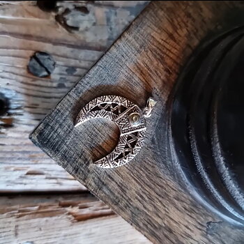 Hänge 925 Silver - Abalone Horn