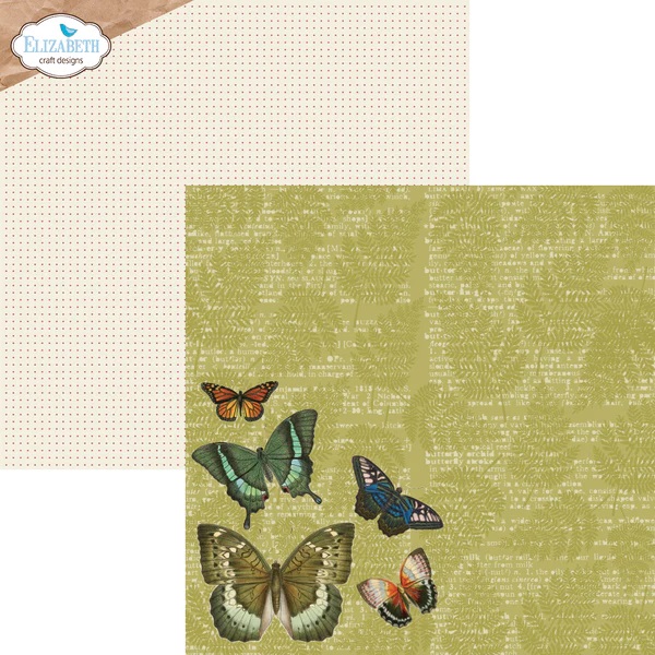 Elizabeth  -  Printed Cardstock - Harmonious Hodgepodge 12x12 - 14