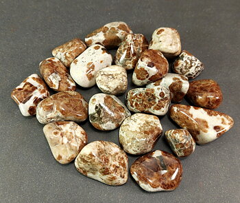 Spessartin Granat i Matrix, Grossular (Brun) - Trumlad